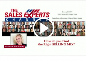 Bright Talk Webinar How do you find the right selling mix Shawn Karol Sandy The Selling Agency